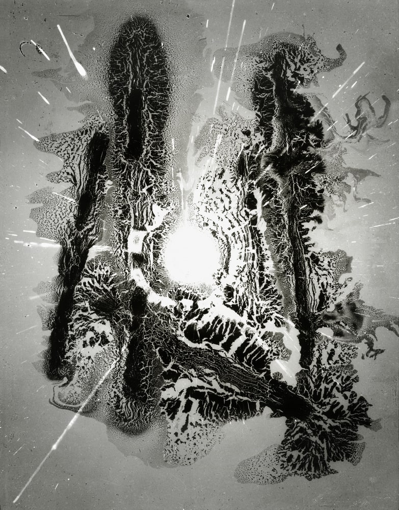 Die Vogeluhr
(L'horloge)