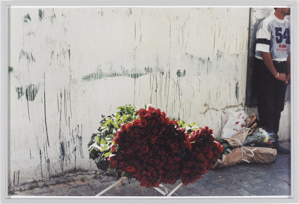 Les fleurs de Damas