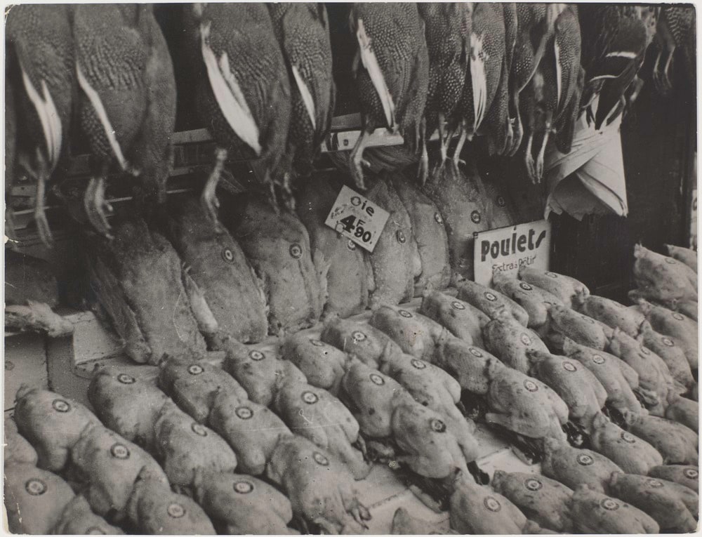 Des oies et des poulets sur un étal