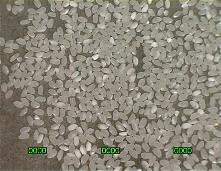 922 rice corns