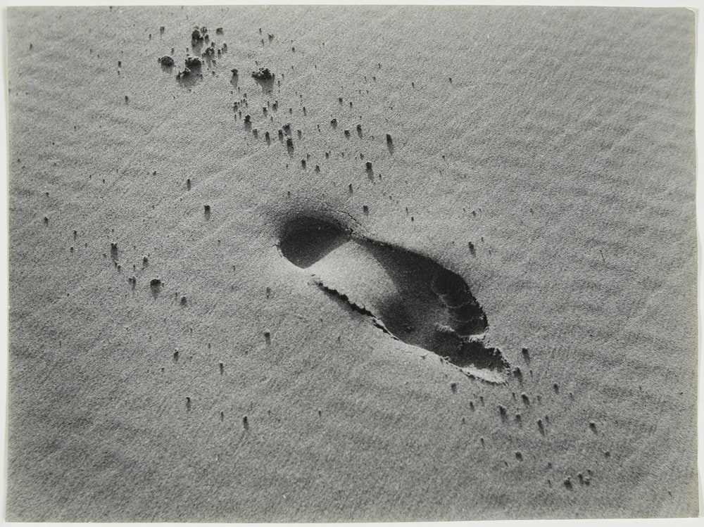 Empreinte de pas dans le sable