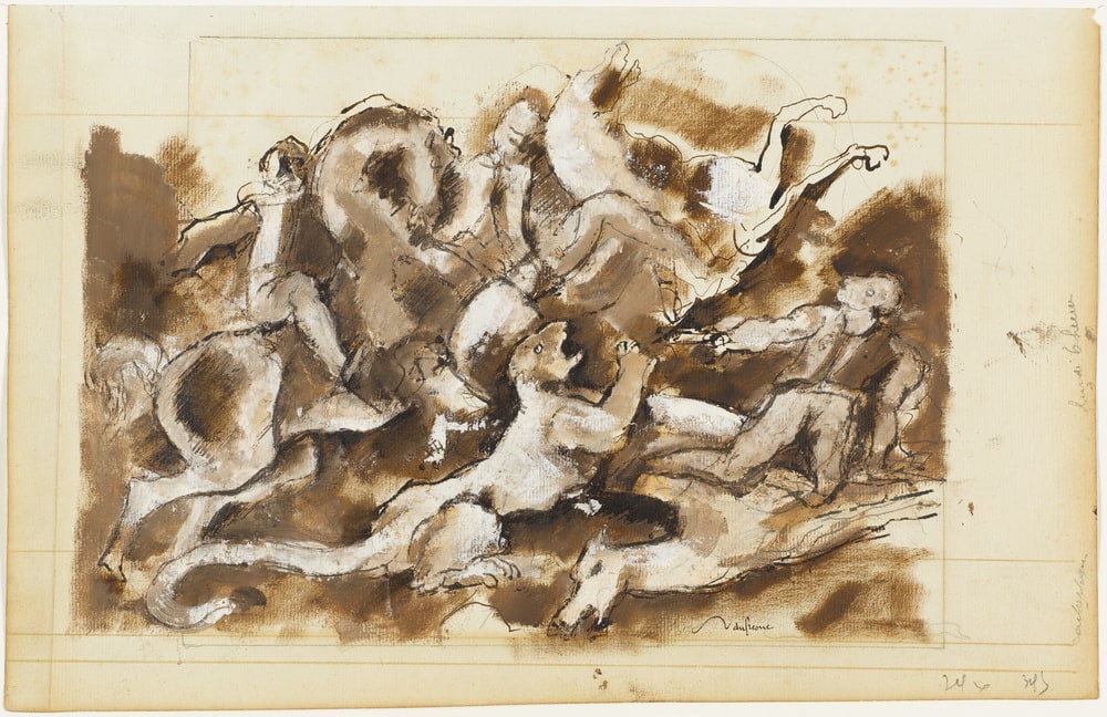 Chasse au fauve