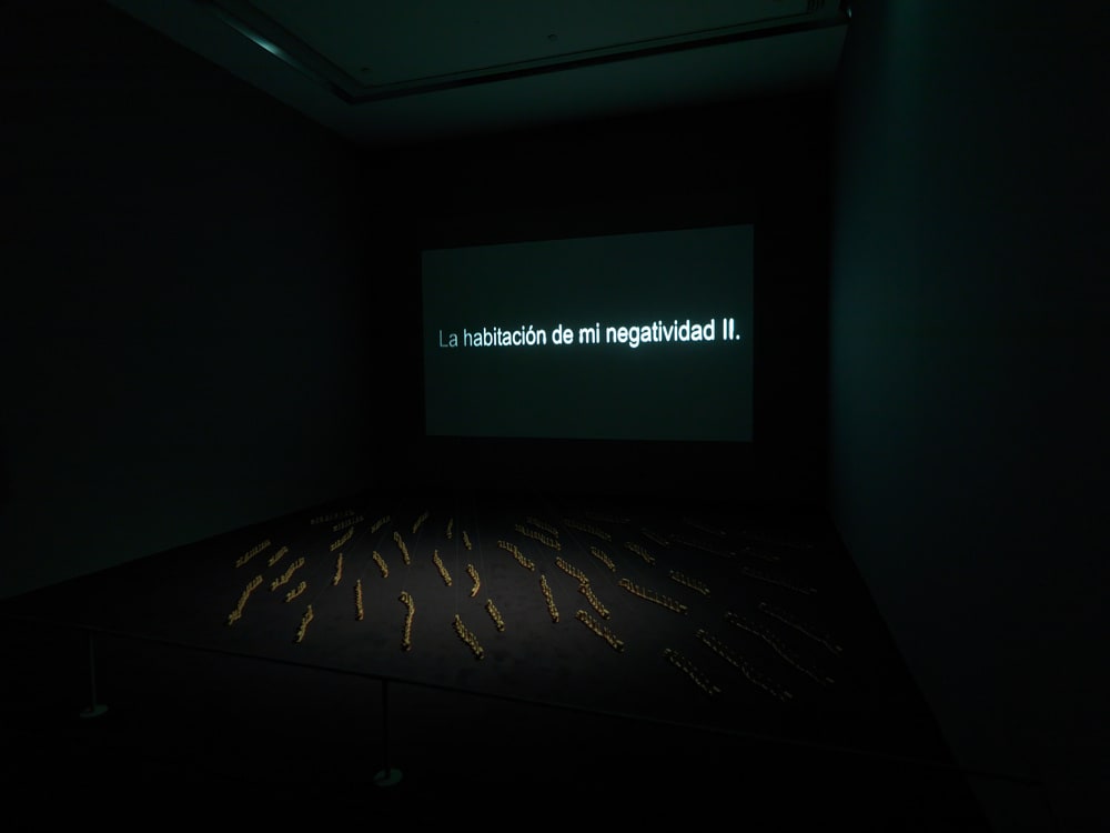 La Habitacion de Mi Negatividad II