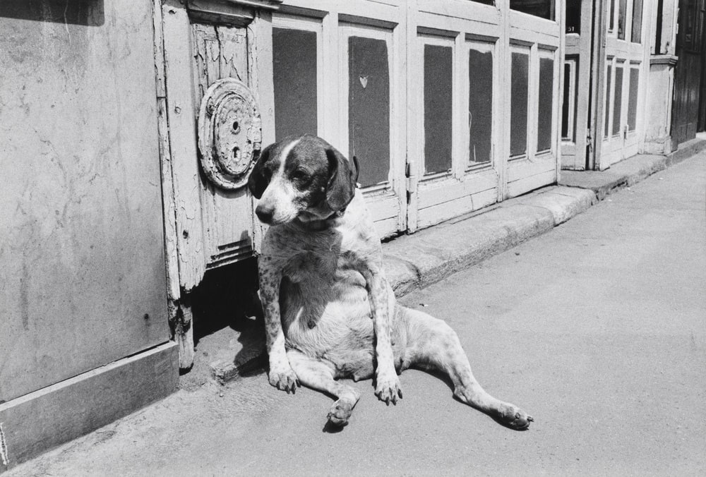 Rue de l'Ouest, 14ème arrondissement, Paris