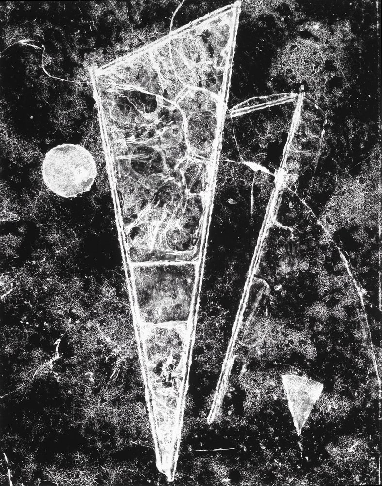 Komposition
(Composition)