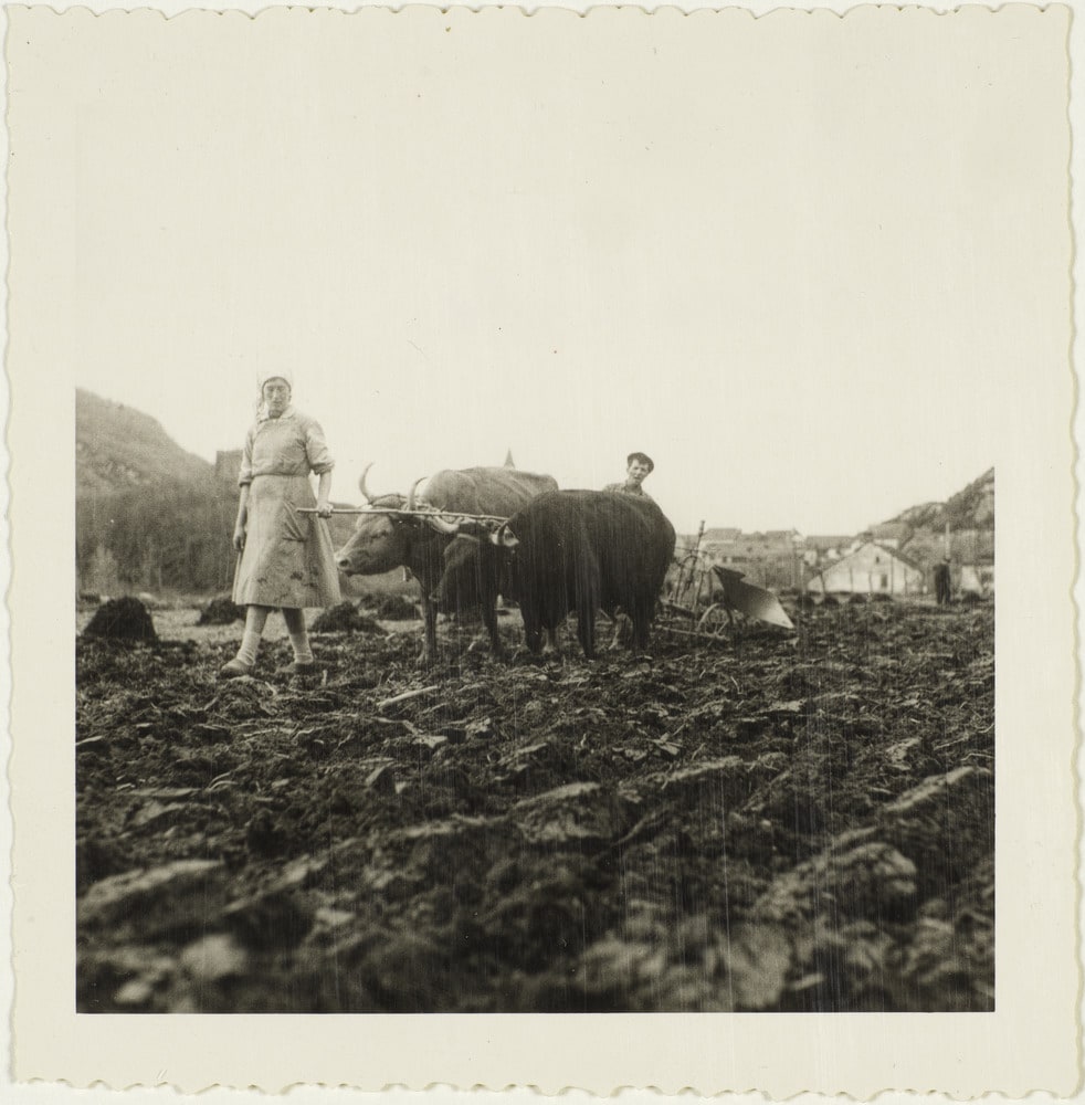 Lasseube, Béarn