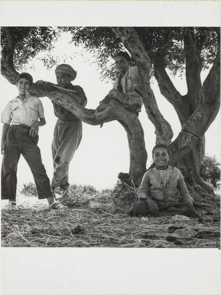 Images d'Algérie