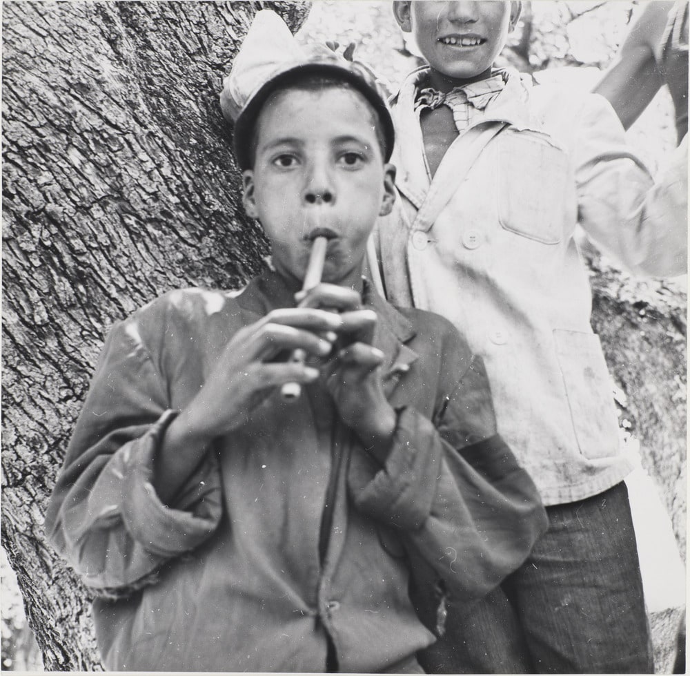 Images d'Algérie