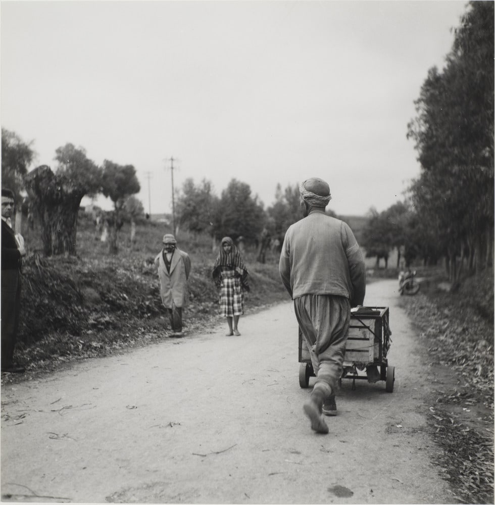 Images d'Algérie