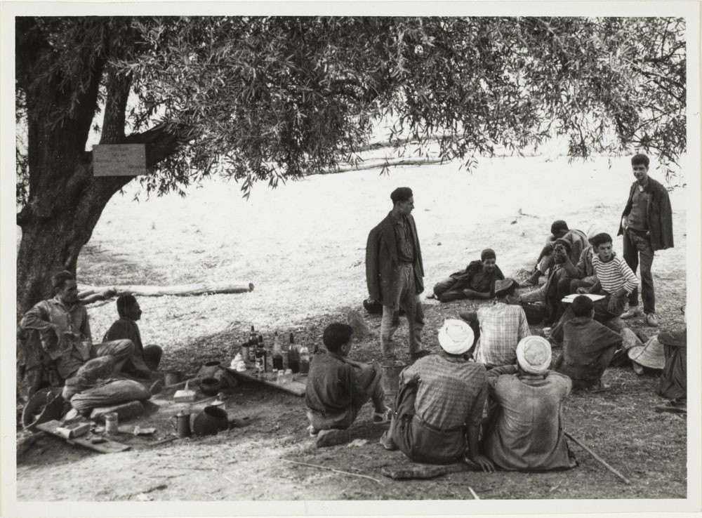 Images d'Algérie