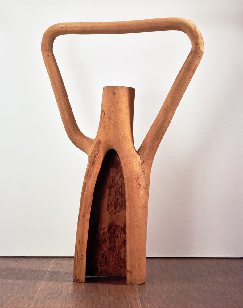 Fragment écologique n° 5