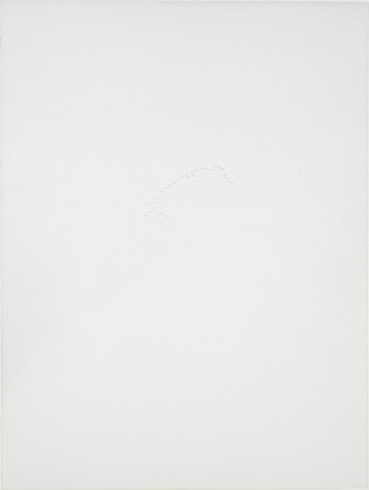 Untitled (Cat / Condensatioon trail / Mite / Swarrm)