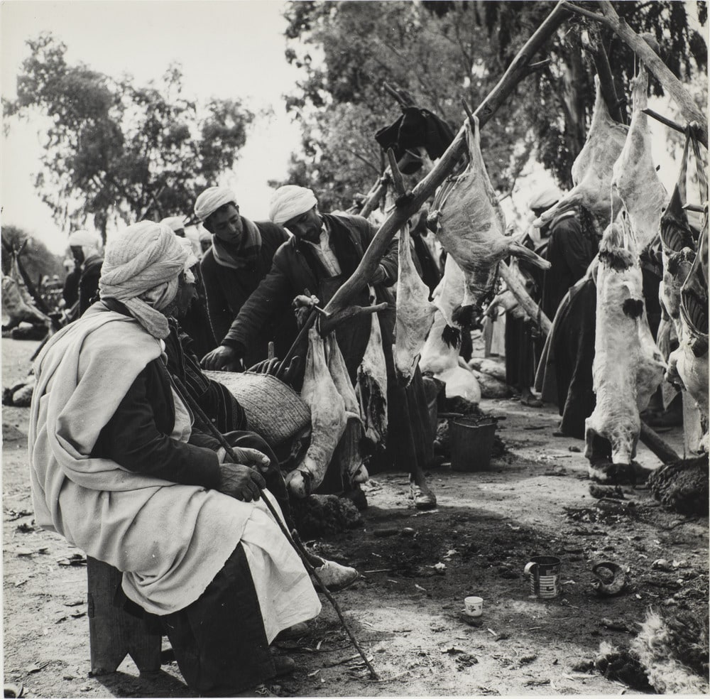 Images d'Algérie