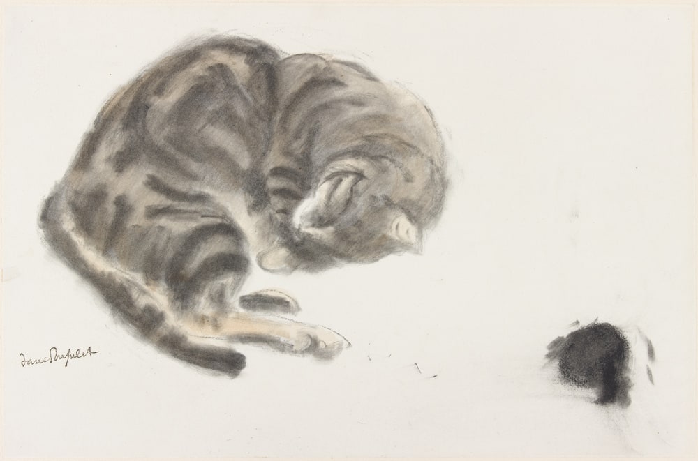 Chat couché