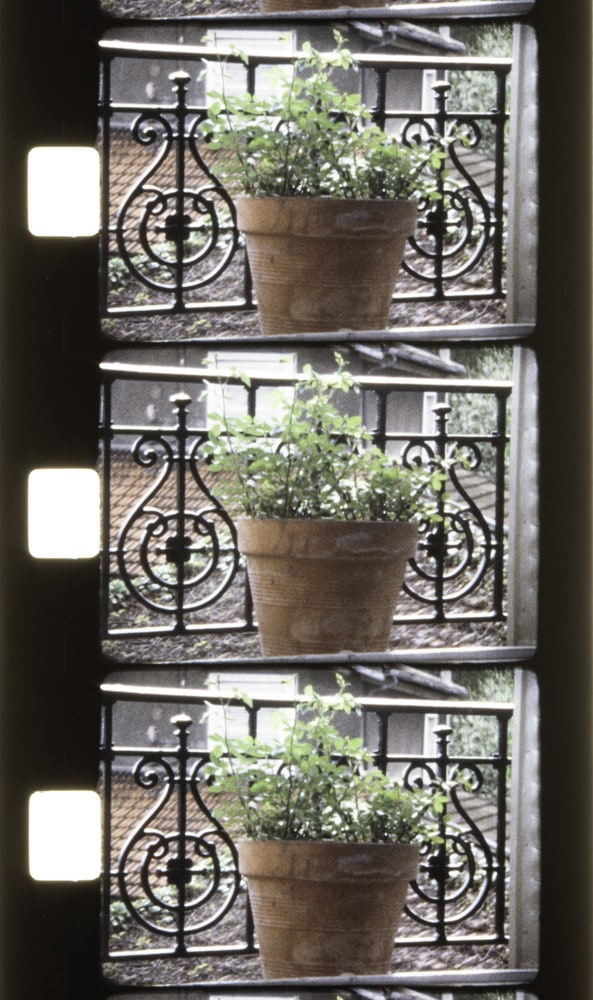 Pot de fleur