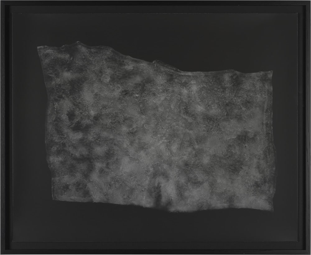 Crack Stop Motion/ Developed view photogram