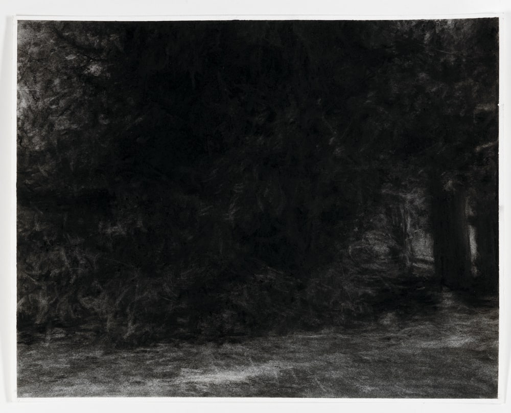 Archive Forest #4