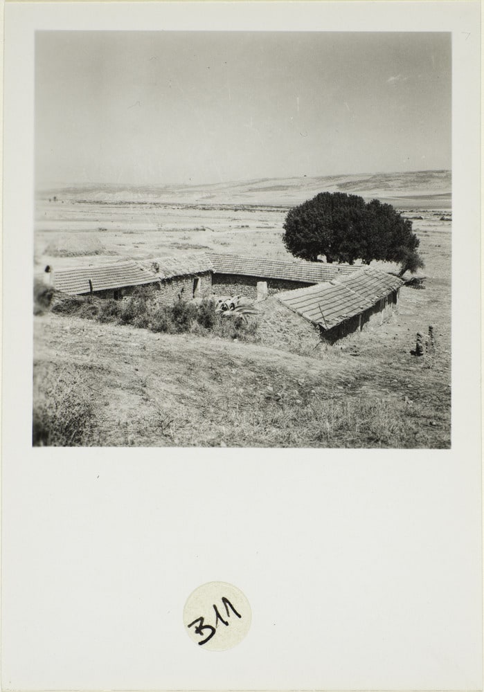 Images d'Algérie