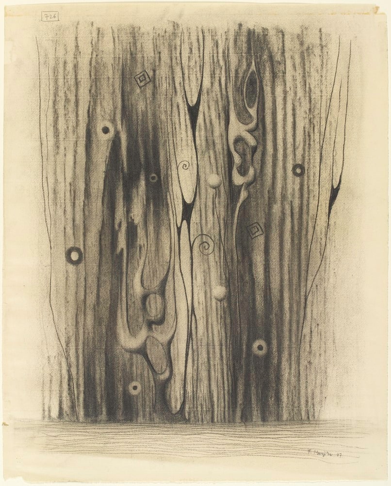 Forêt X