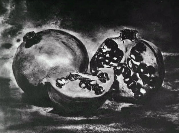 Pictographies