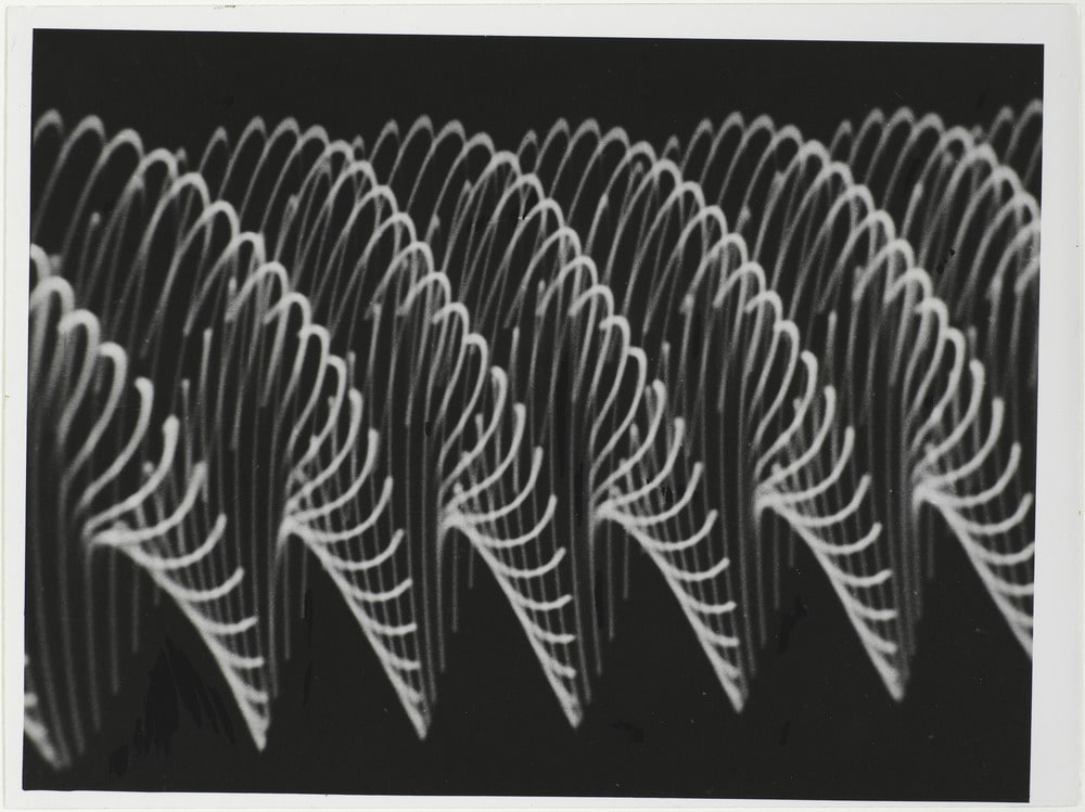 Oscillogrammes
