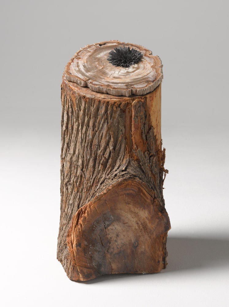 Untitled
(Sans titre)