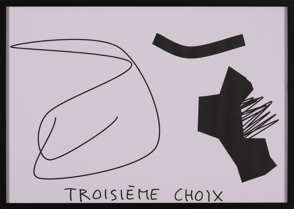 Troisième choix (lilas) (e)