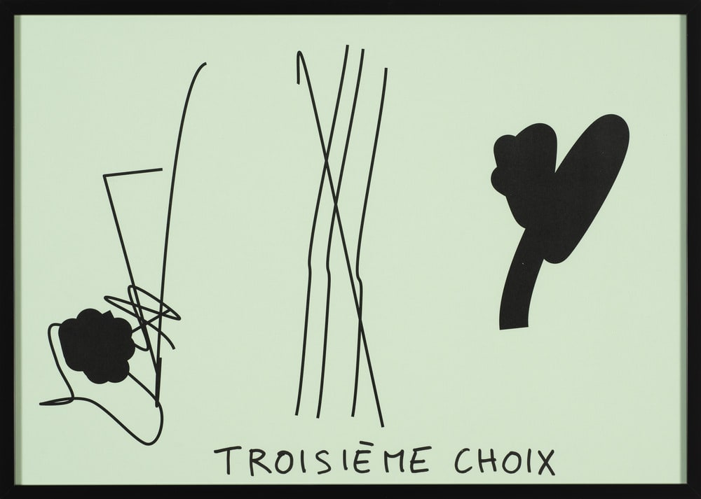 Troisième choix (vert clair) (e)