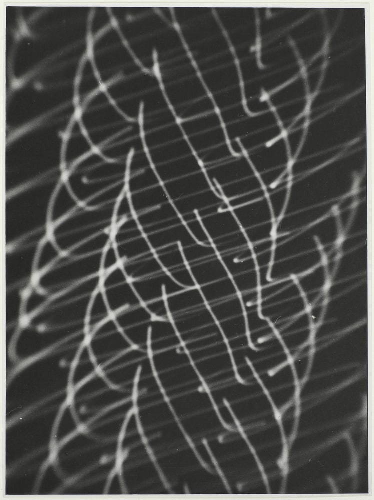Oscillogrammes