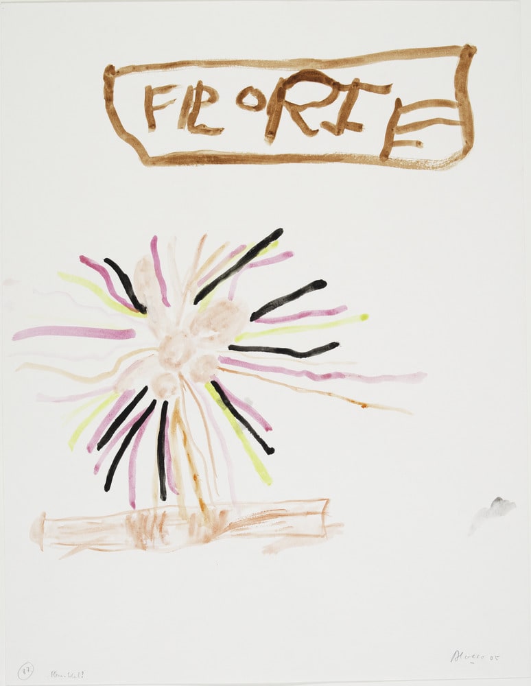 Fleur Soleil ?