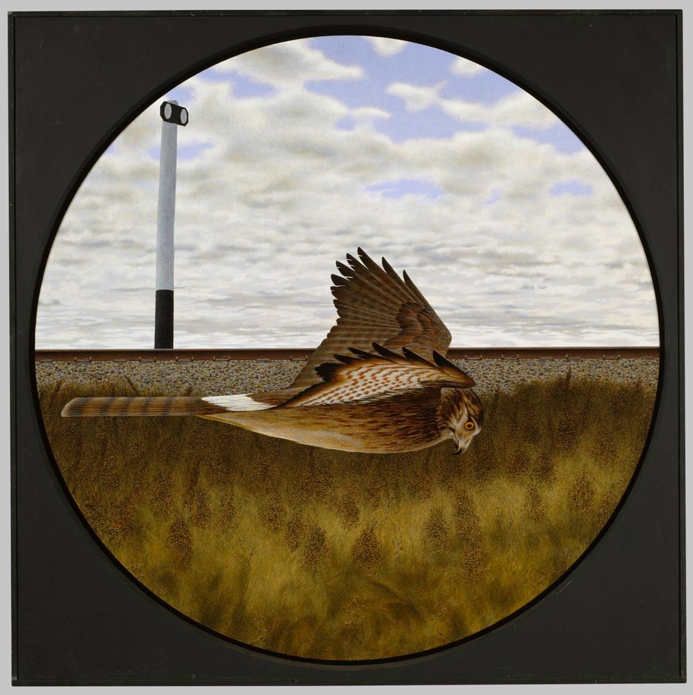 Sign and Harrier