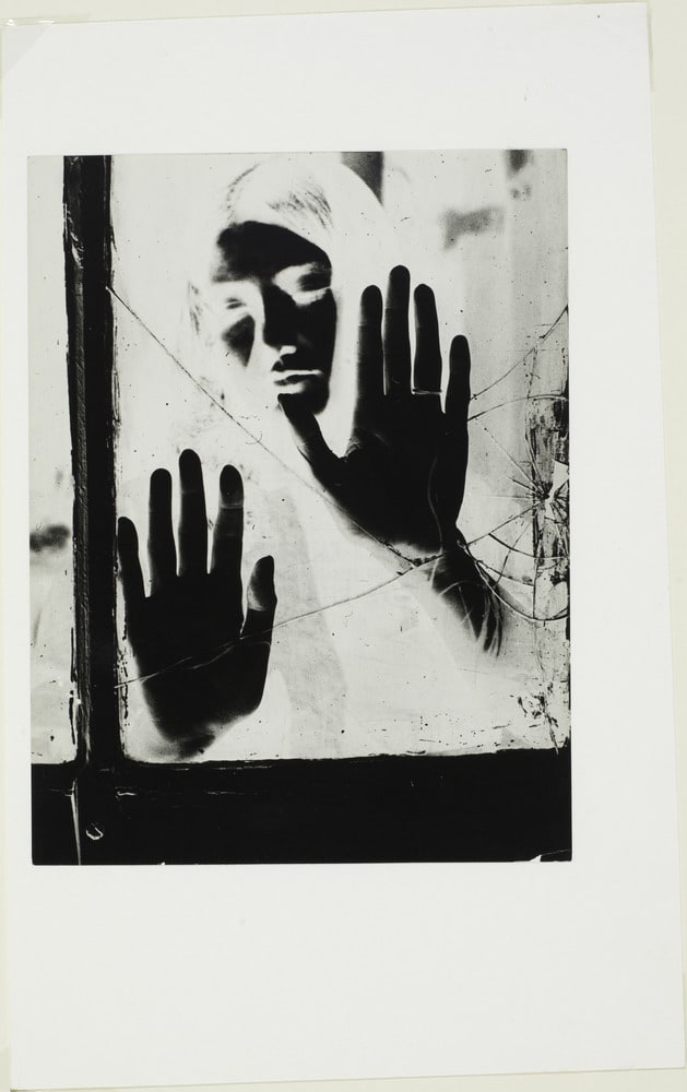 La vitre