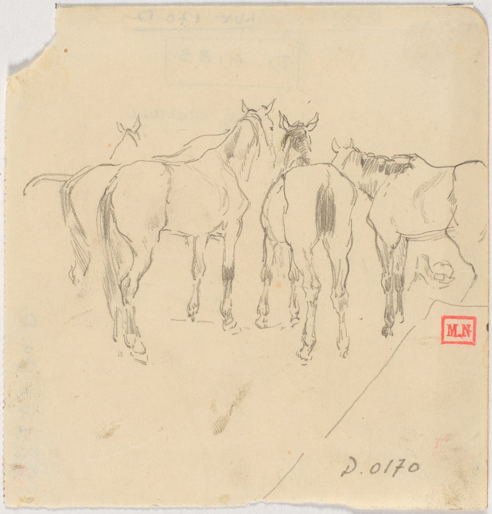 Cinq chevaux