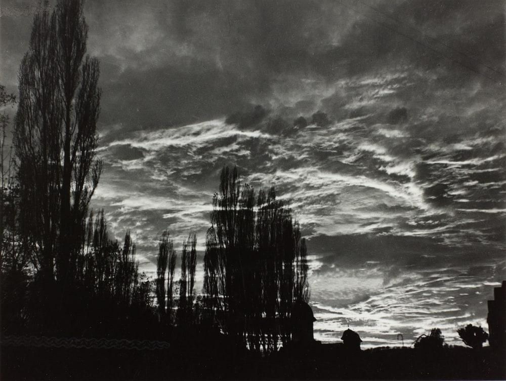 Paysage