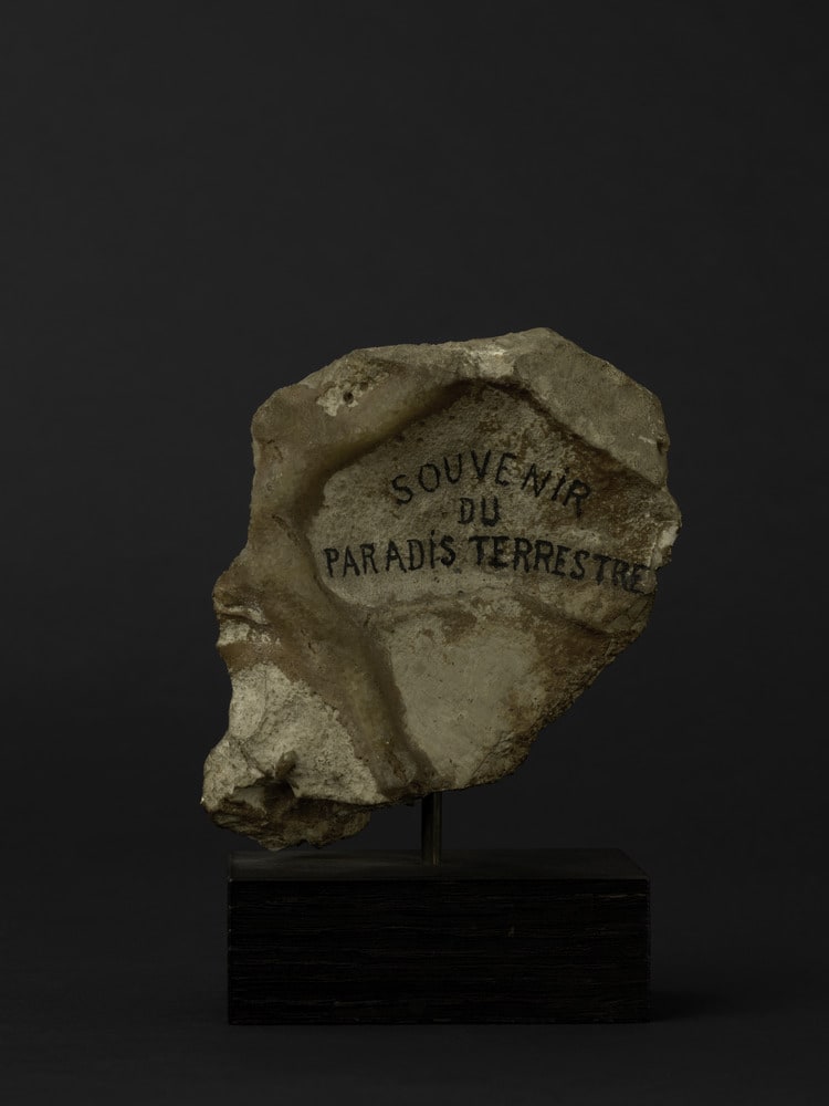 Souvenir du paradis terrestre