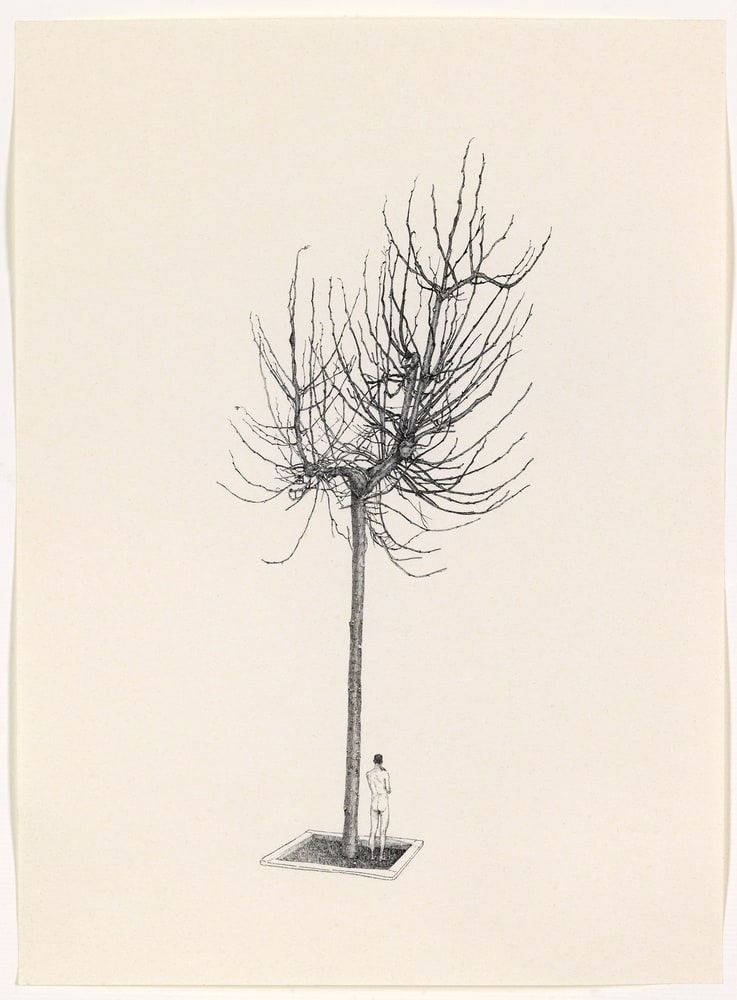 Sous l'arbre de Monclea