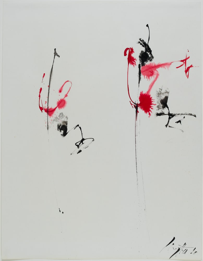 Rose VII