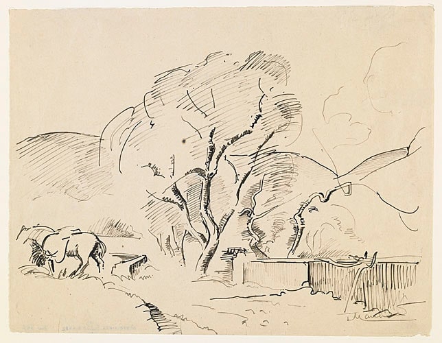 Paysage