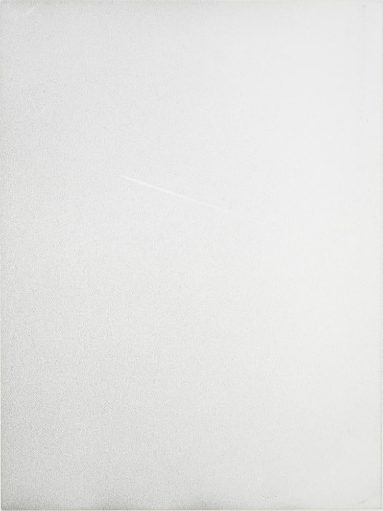 Untitled (Cat / Condensatioon trail / Mite / Swarrm)