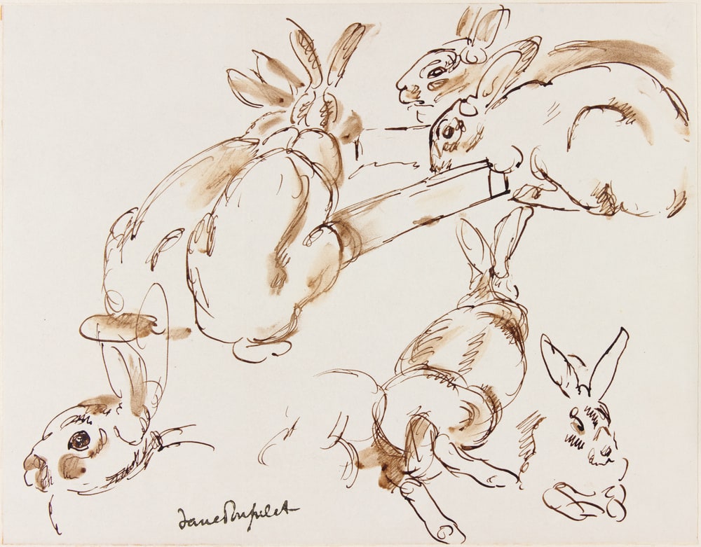 Etudes de lapins
