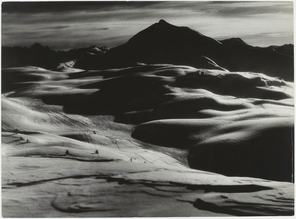 Paysage enneigé