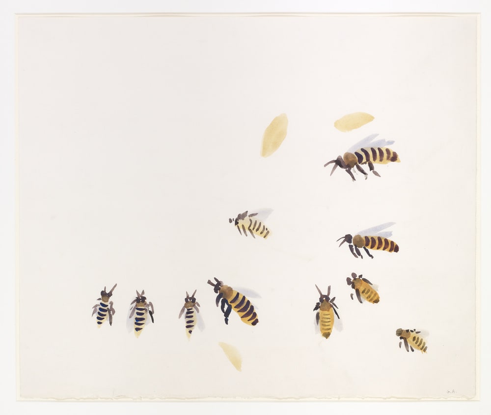 Abeilles