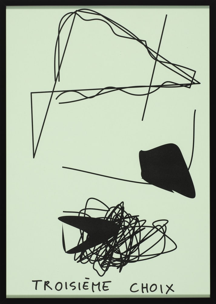 Troisième choix (vert clair) (b)