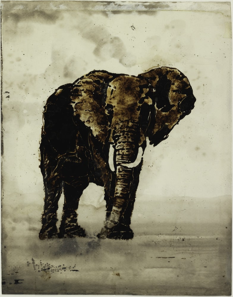 Etude pour "Africa"