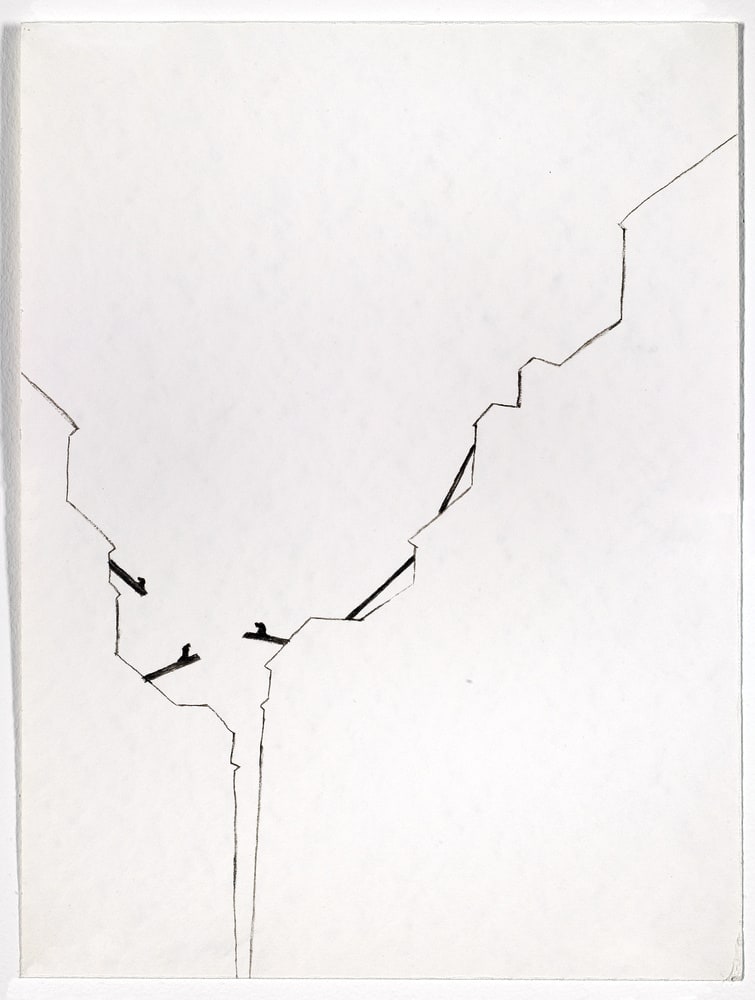 Migration