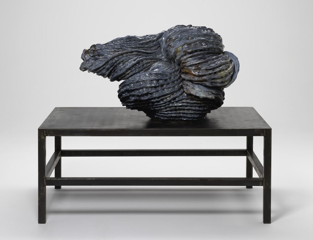 Vague moyenne pour Palissy
