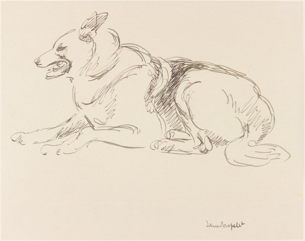 Chien couché