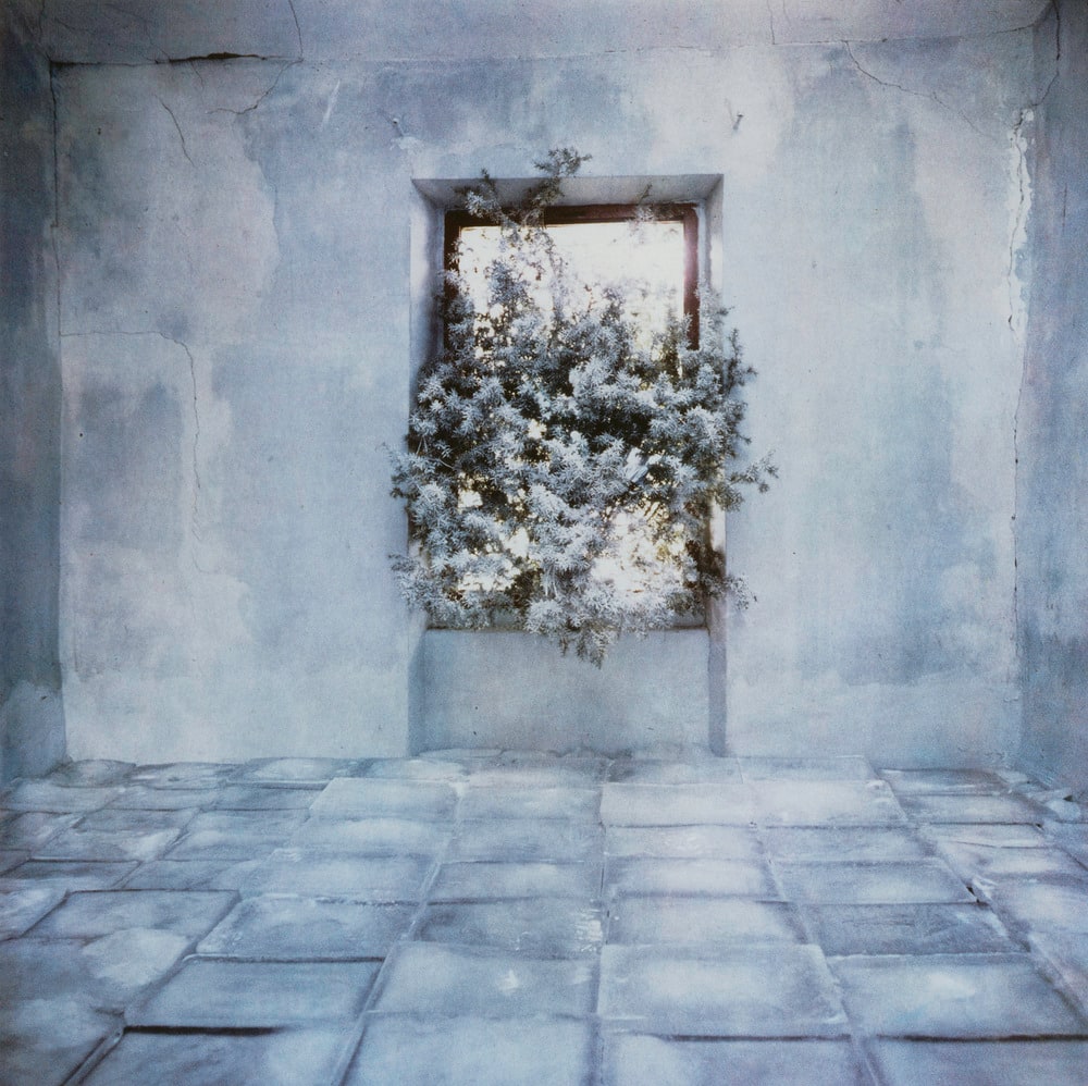 La Chambre d'hiver n° 1, la glace