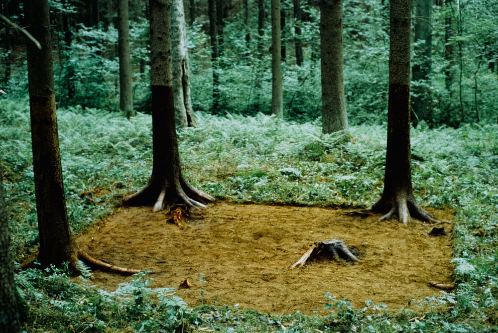 Waldputz