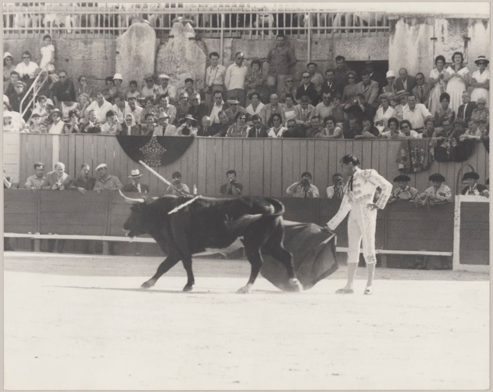 Luis Miguel Dominguin faisant une passe muleta lors d'une corrida, dans les arènes d'Arles, en 1960
